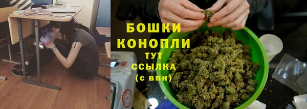 PSILOCYBIN Балабаново