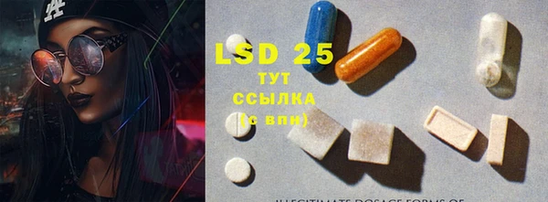 PSILOCYBIN Балабаново