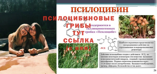 а пвп мука Балахна
