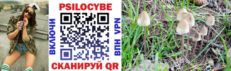 Псилоцибиновые грибы Psilocybe  цена   kraken маркетплейс  Отрадное 